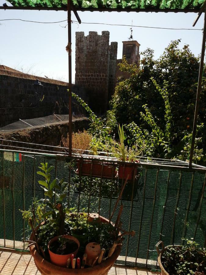 Relax Dal Caos Di Citta Lejlighed Barbarano Romano Eksteriør billede